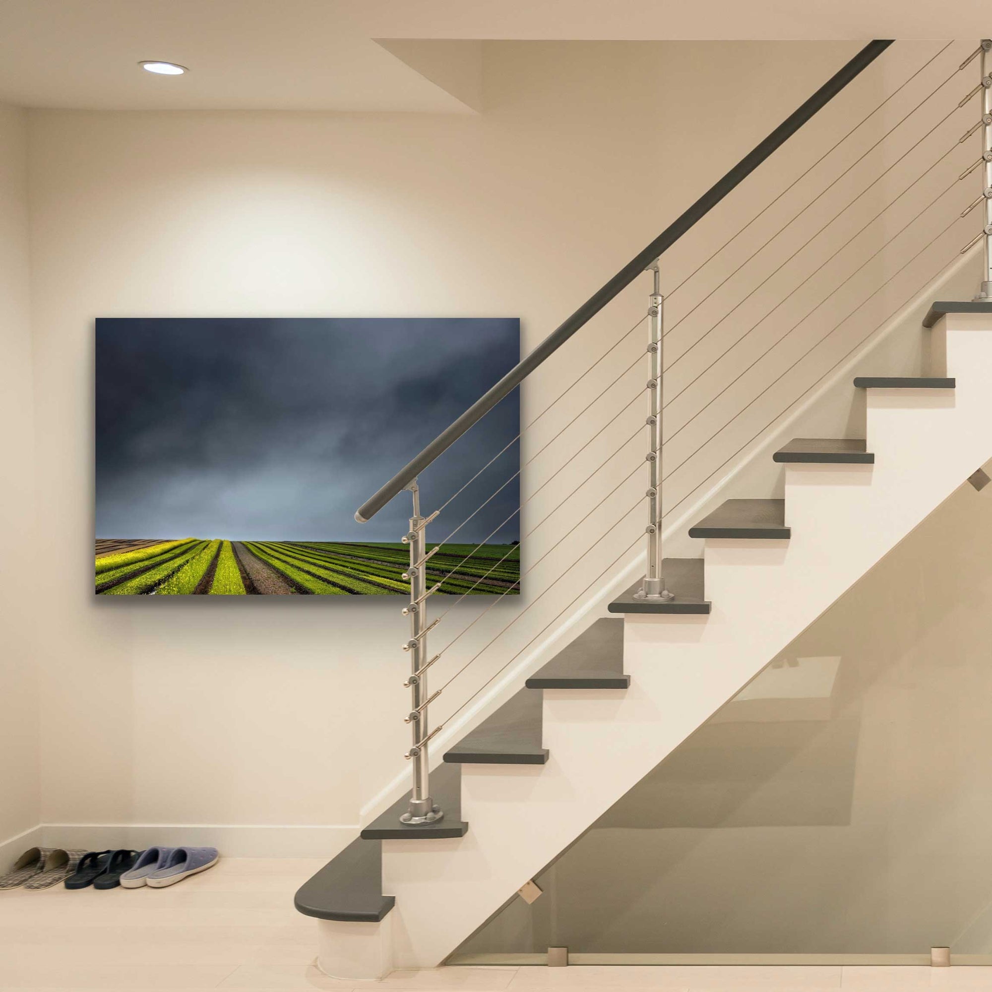 Conway flat photograph in situ. Stunning landscape photograph of brightly lit crop field rows beneath a stormy grey sky. Photo hung on wall above stairs.