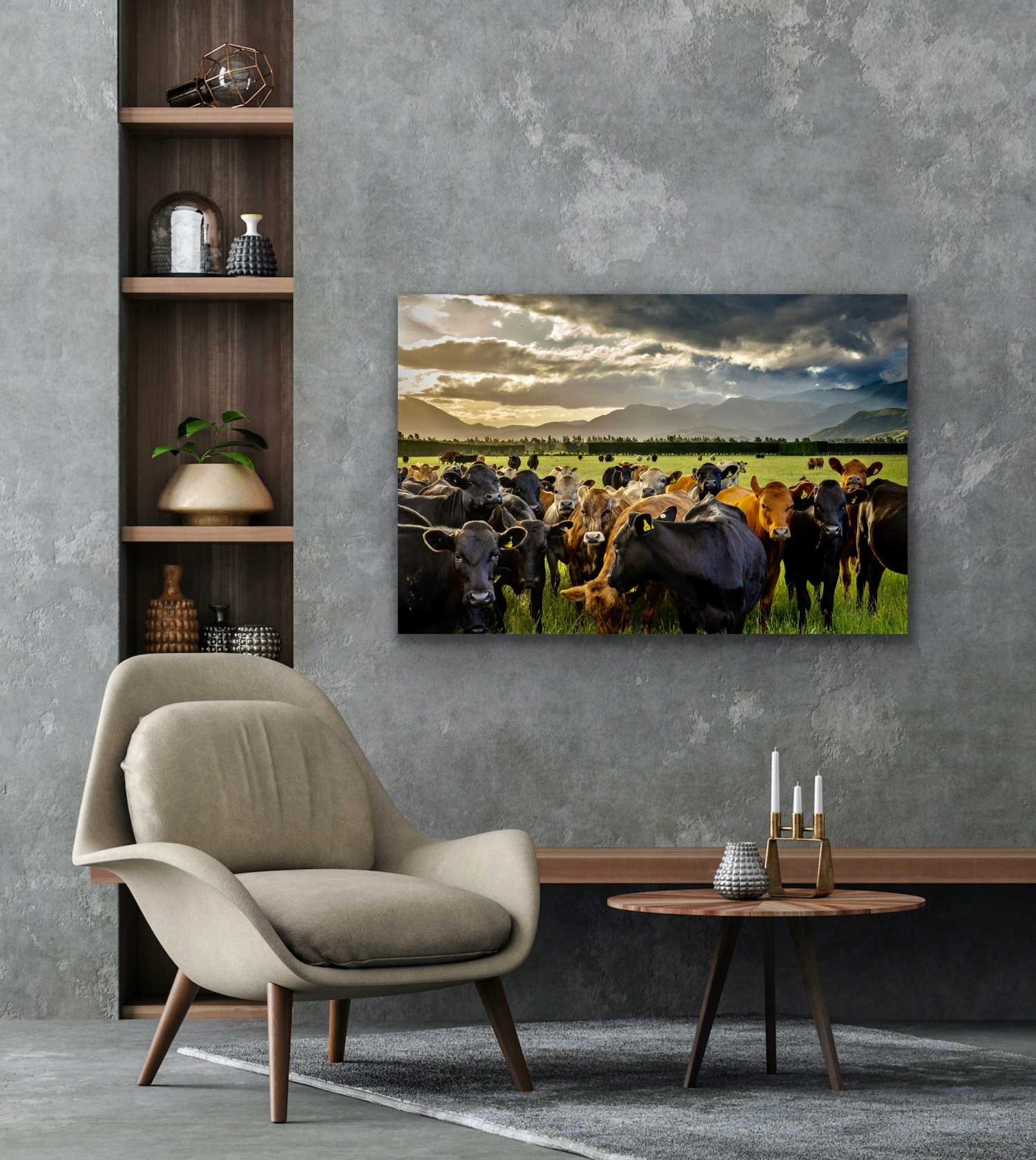 In situ photograph of cows. Landscape photograph of light falling on cows in a large, green field with mountains. Hung on wall, interior design photo.