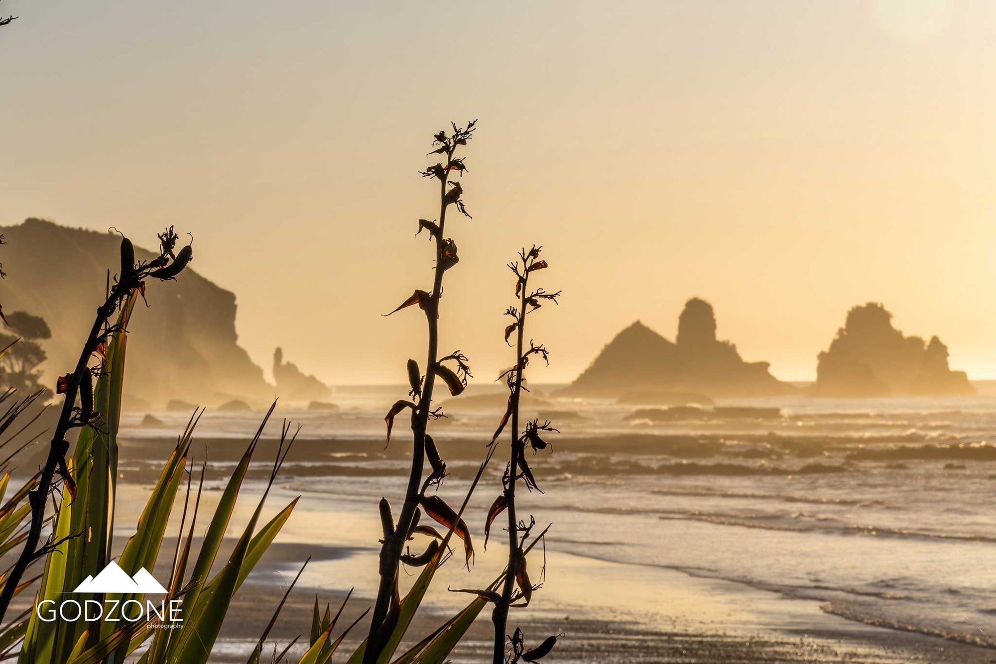 Motukiekie Beach with flax flowers or harakeke on NZ's South Island West Coast. Buy subtly coloured photographic prints NZ. Beach photography.