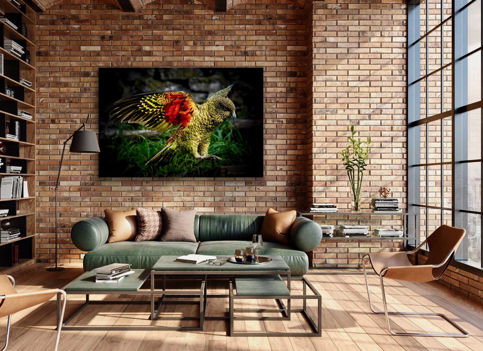 Stunning native NZ kea bird photograph hung on brick wall above living area. NZ large bird photography.