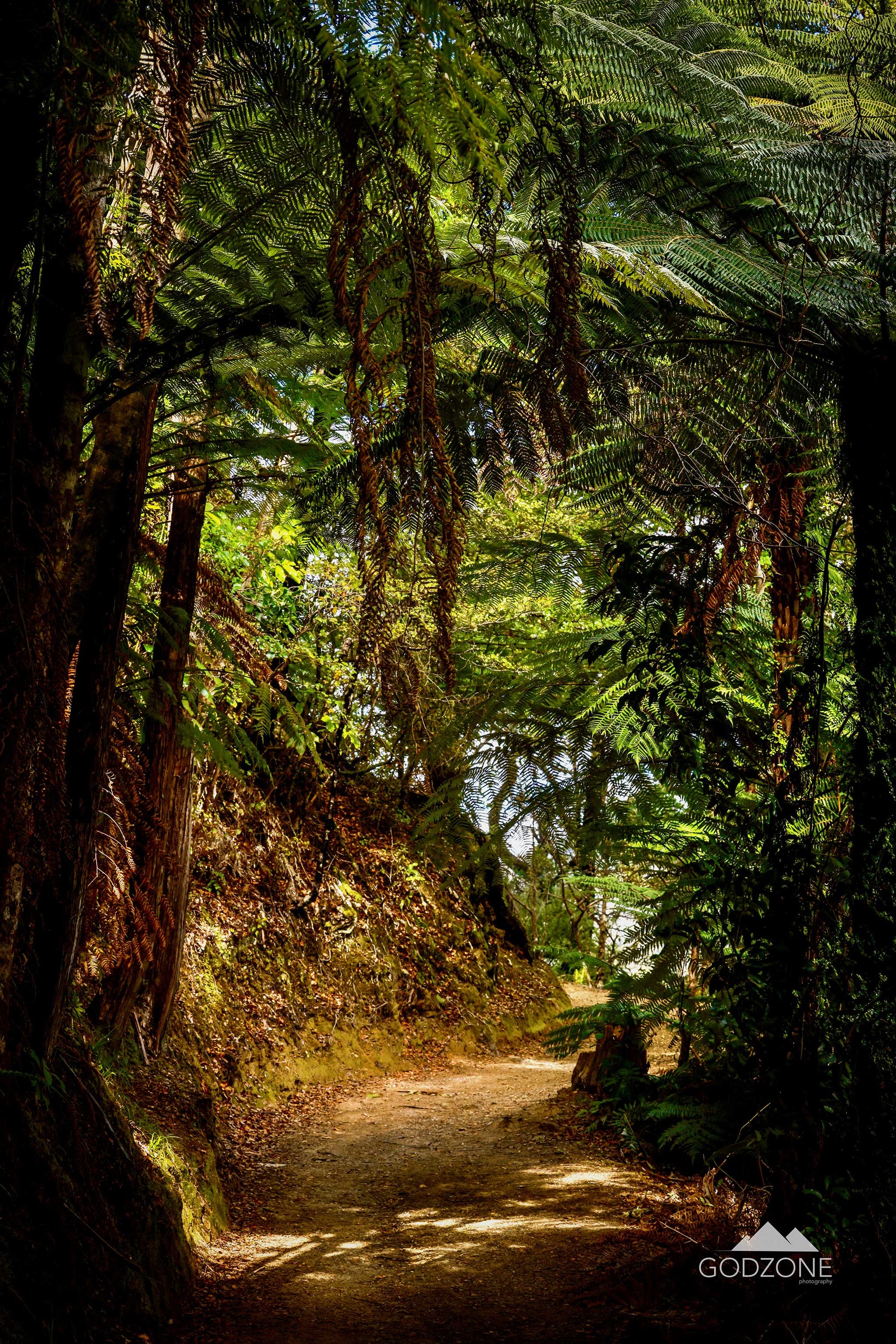 Queen Charlotte Track