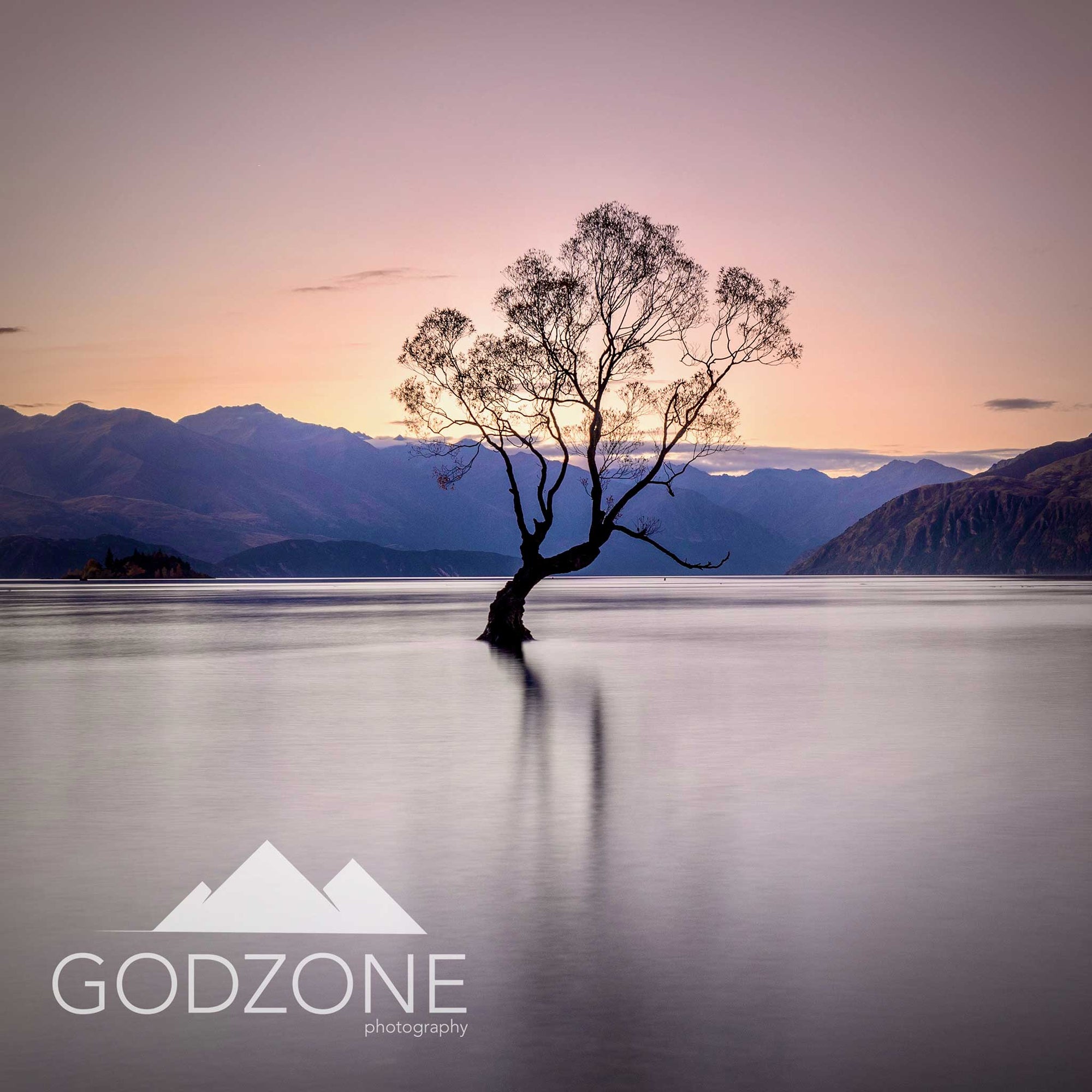 Landscape photograph of the Wanaka tree caught in purple evening light. Subtle and iconic New Zealand landscape photography for sale.