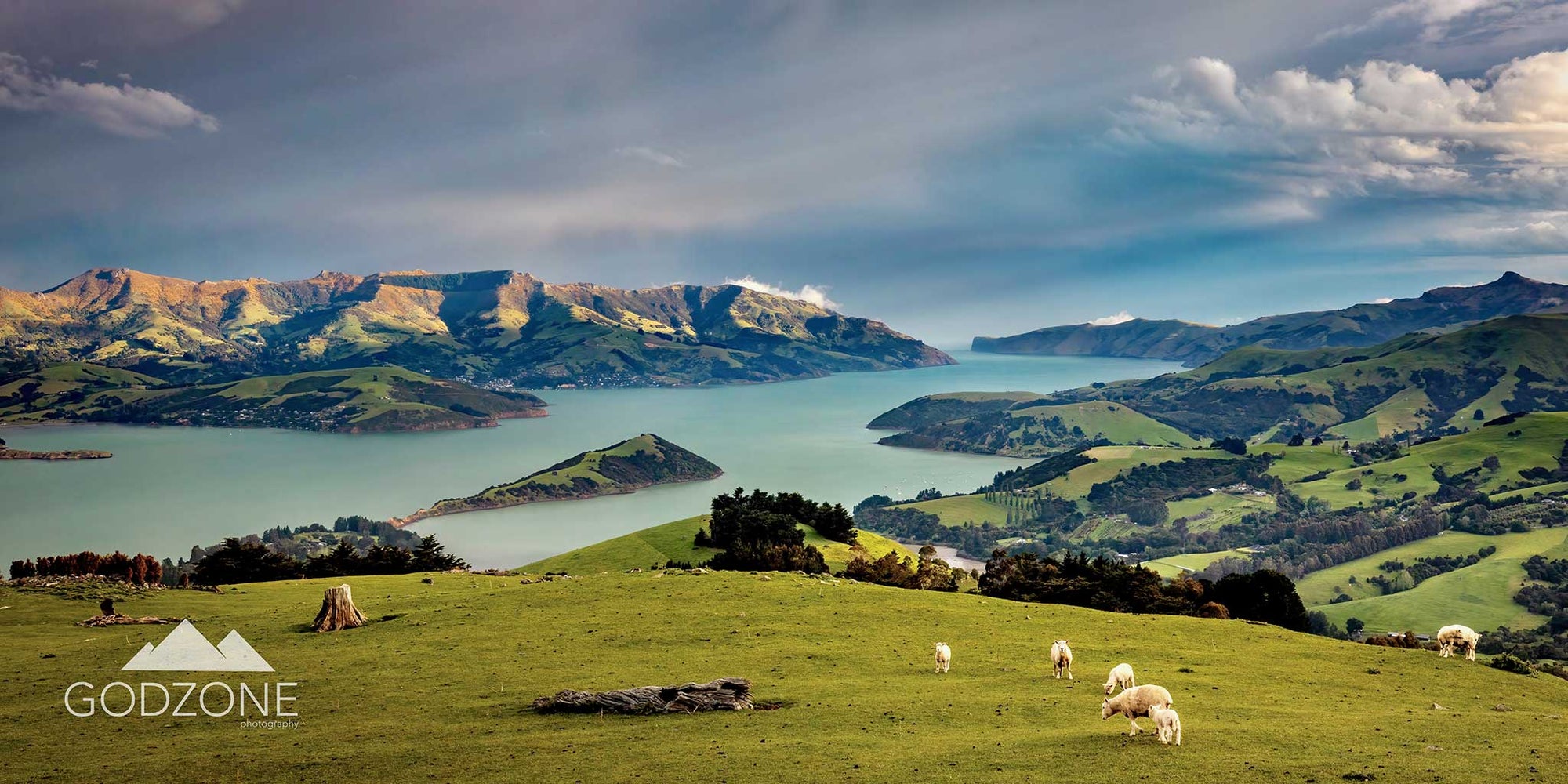 Beautiful panoramic landscape photograph of banks peninsula viewed from above with sheep and waterways.