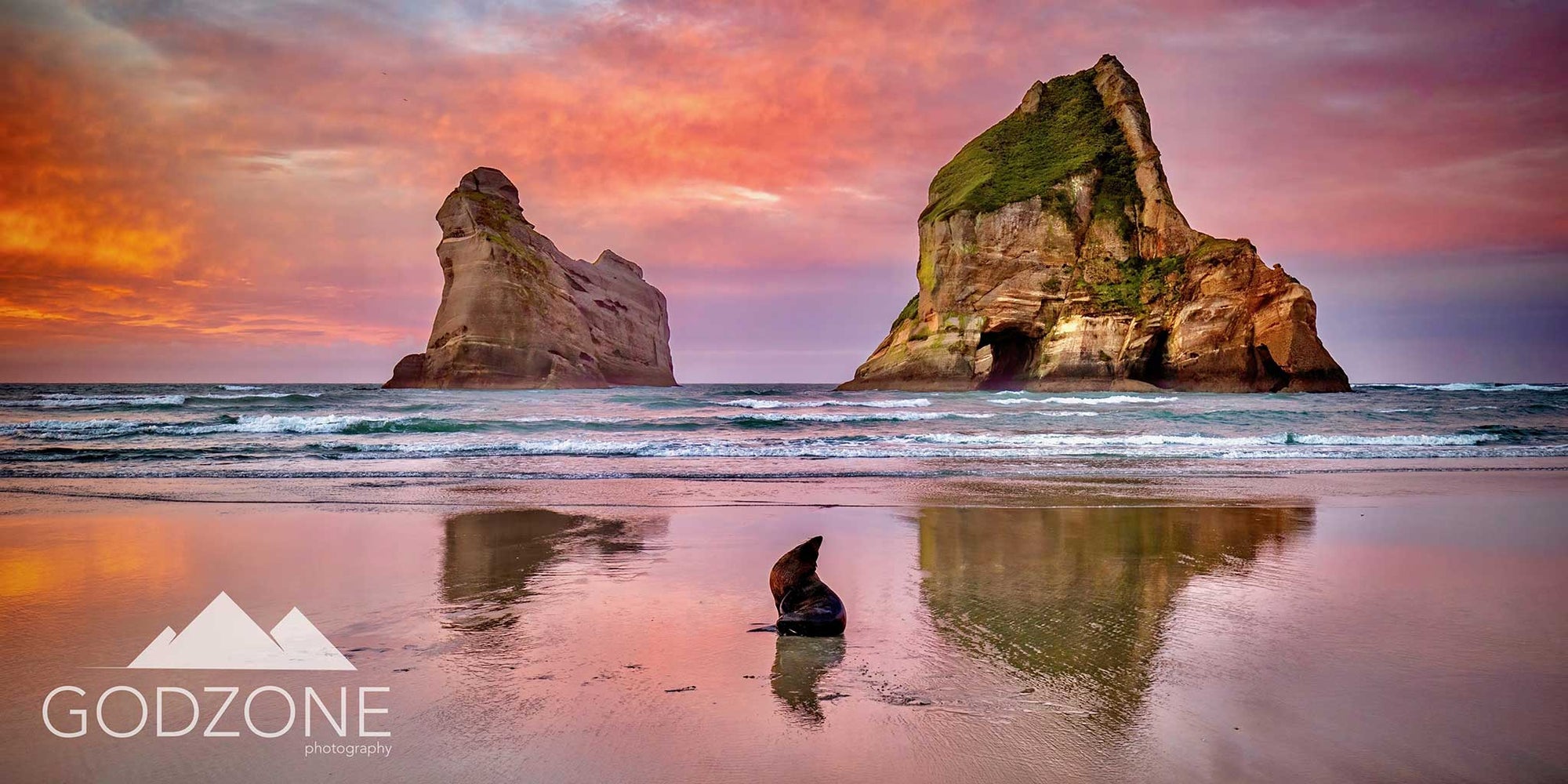 Beautifully captured landscape nature photograph of a seal on the beach at sunset with rock formations behind. Gorgeous orange and pink light in sky, reflected in sand.