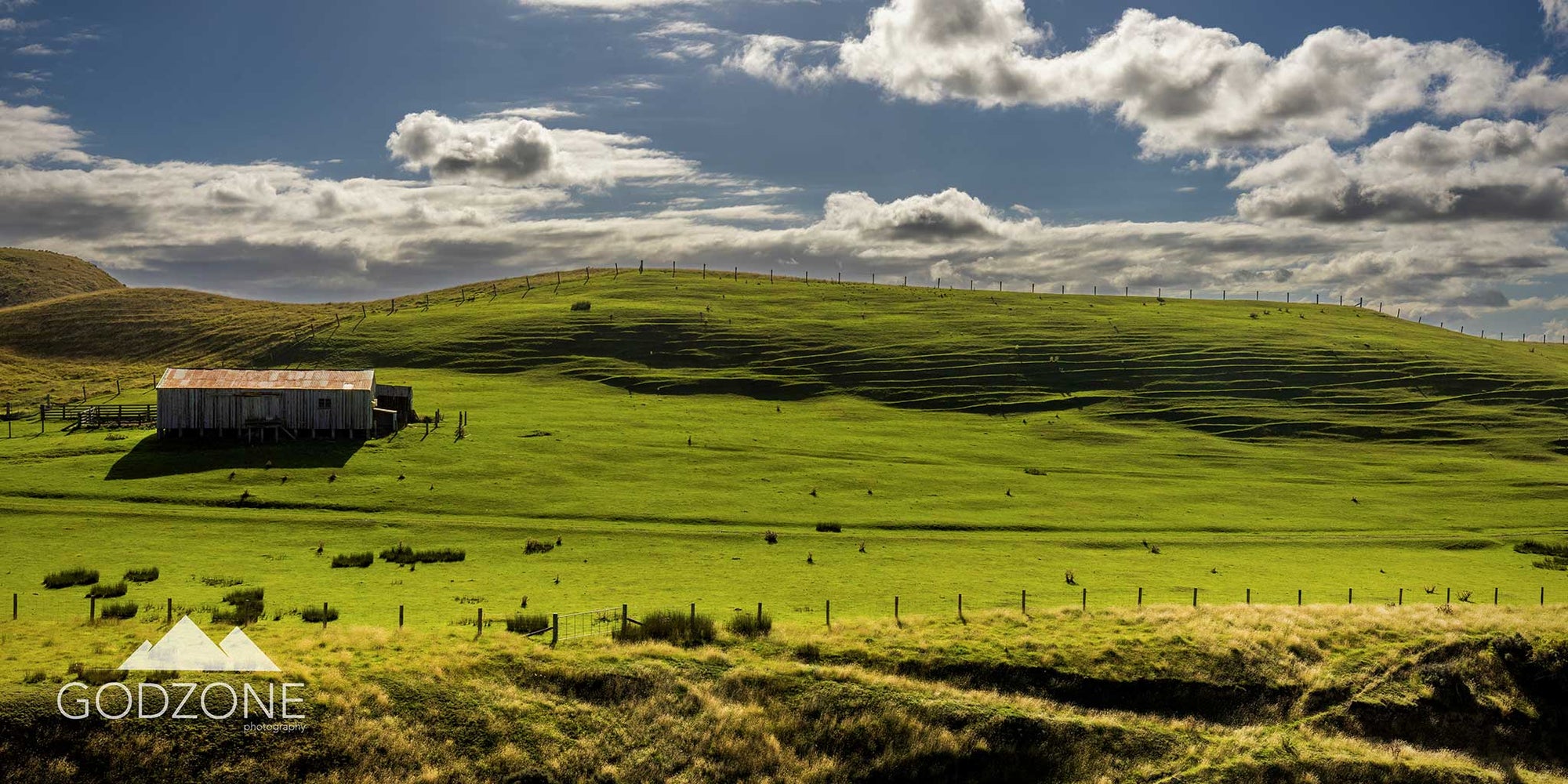 Brilliant green landscape photograph of fields and farmland and a shed in Marlborough, South Island, NZ. Buy NZ agriculture artwork.